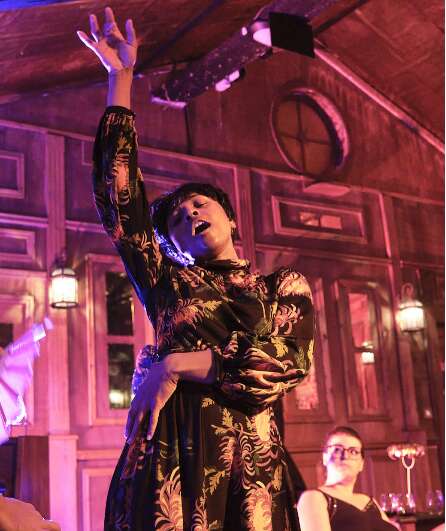 Affiche du spectacle Nous reviendrons au printemps