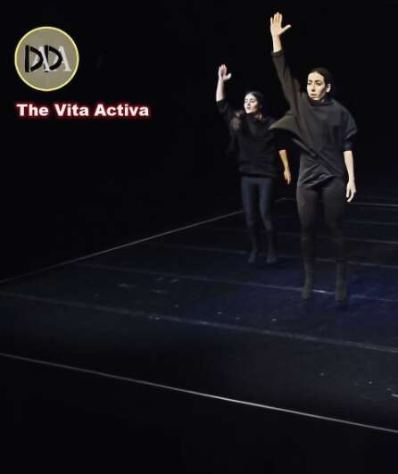 Affiche du spectacle Vita Activa