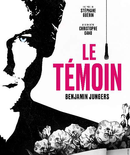 Affiche du spectacle Le Témoin