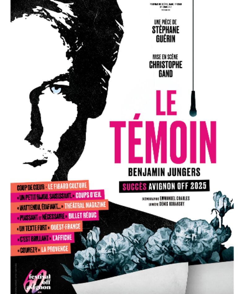 Affiche du spectacle Le Témoin