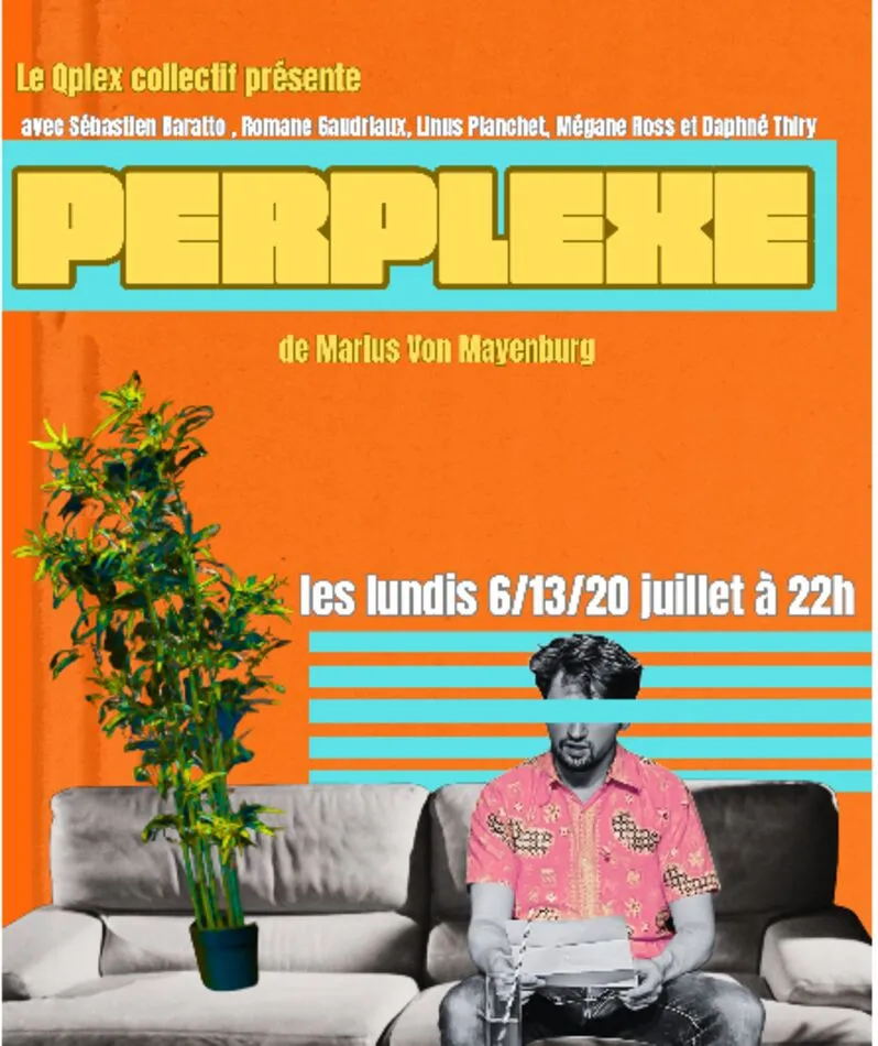 Affiche du spectacle Perplexe