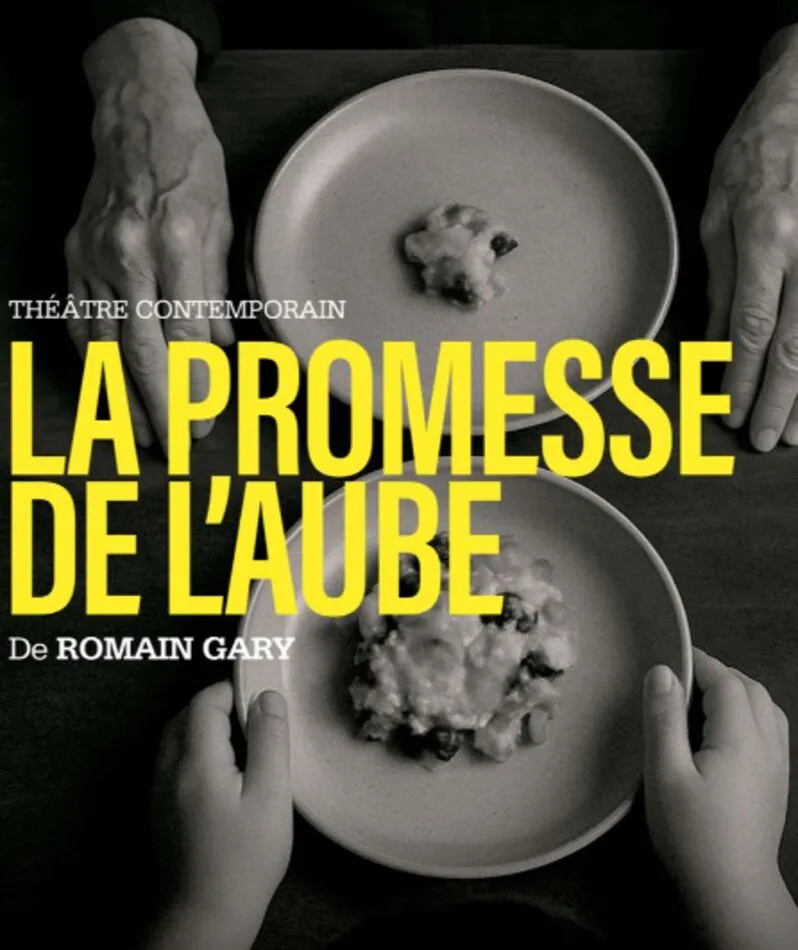 Affiche du spectacle La Promesse de l'Aube