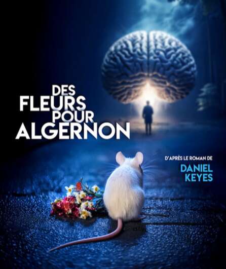 Affiche du spectacle Des Fleurs pour Algernon