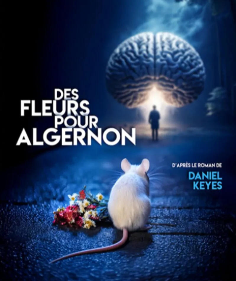 Affiche du spectacle Des Fleurs pour Algernon