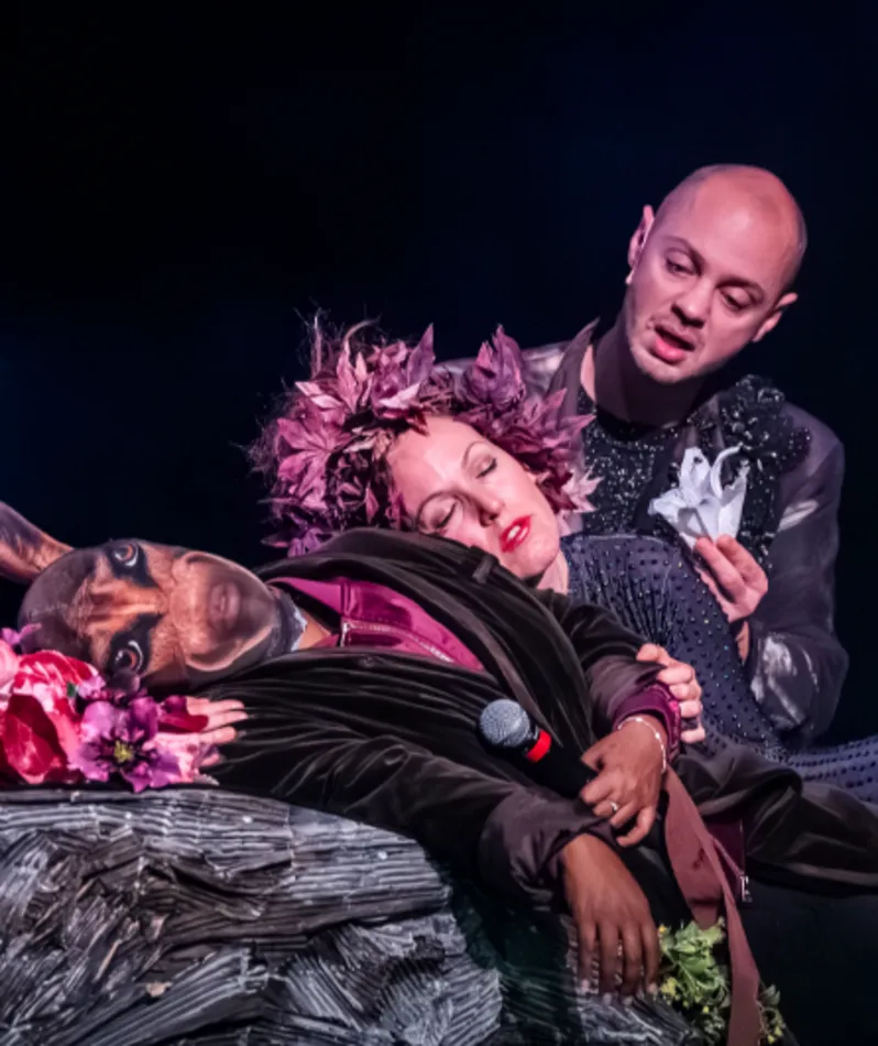 Affiche du spectacle Le Songe d'une nuit d'été